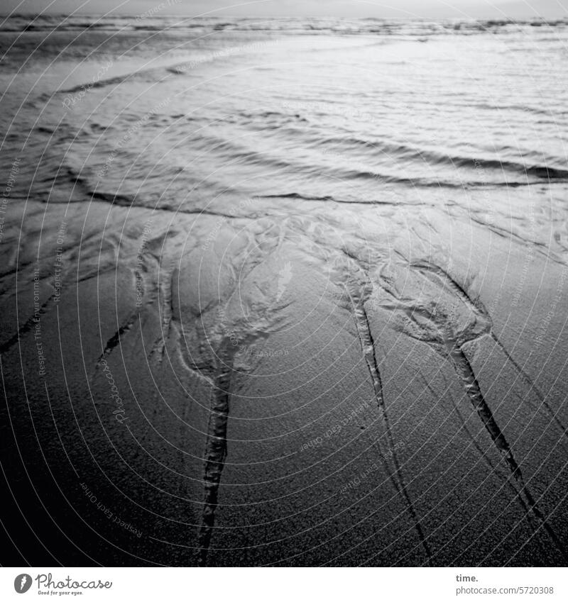 Lebenslinien .165 Strand Küste Nordsee Meer Wellen Gegenlicht Abend Sonnenlicht Sand Sandbank Wasser Siel auflaufendes Wasser Gezeiten Linien Sommer Natur