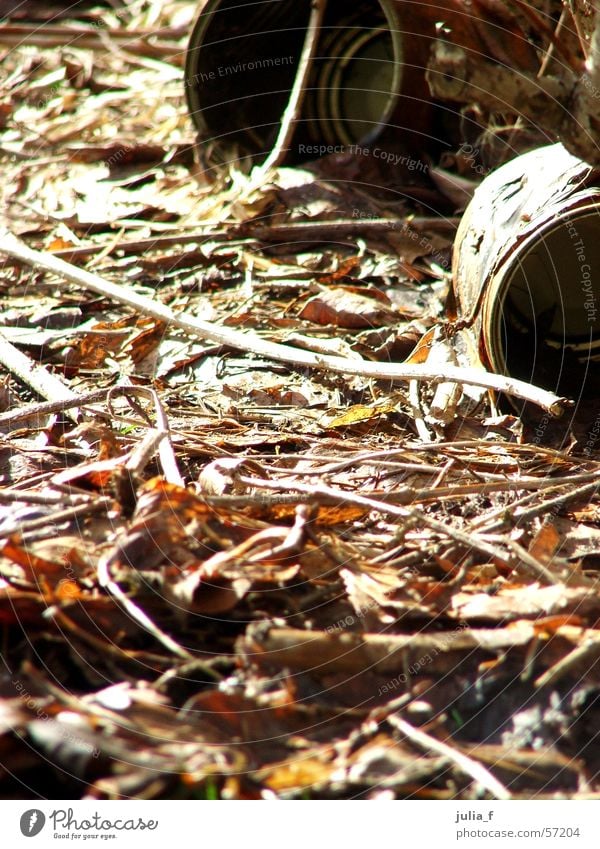 cans Leaf Tin Brown Environment Tin of food Dirty Branch Nature