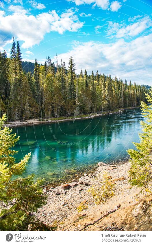 Clear lake where you can see the stones clear water Water Lake Forest forests Nature Landscape Exterior shot Vacation & Travel Mountain Summer Colour photo