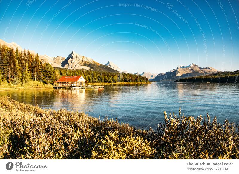 Maligne-Lake boathouse in sunset mood Lake Maligne Mountain Canada travel Boating trip Blue Turquoise touristic Tourism Exterior shot Colour photo