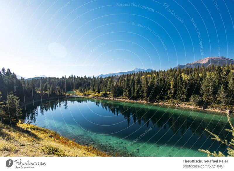 Lake with reflection in sunlight Water clear clear water mirror Tree trunk Forest stones Nature Landscape Reflection Exterior shot Calm Colour photo Idyll