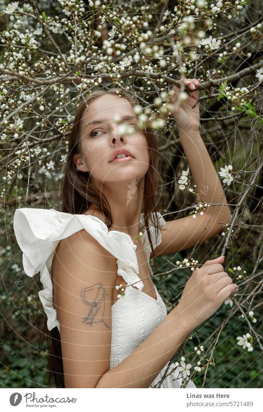 A gorgeous brunette girl, surrounded by white blossoms, is feeling relaxed and free in the woods. She wears a beautiful white dress, and her fine portrait captures the essence of spring.