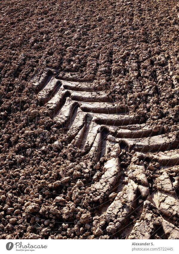 Tractor track in the field trace tyre track Tire tread Field acre Agriculture Earth Ground Imprint Abstract abstraction Arrow Tracks Structures and shapes Brown