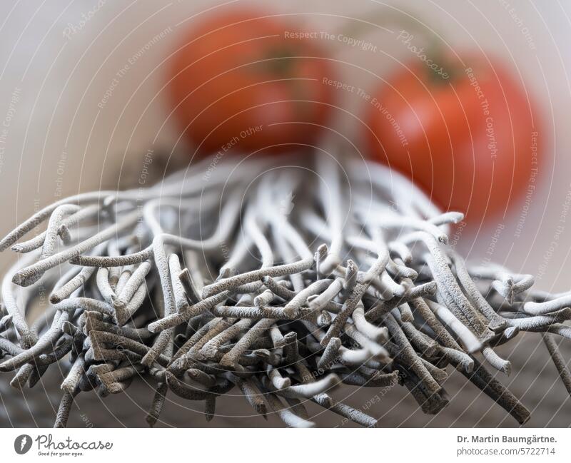 Squid ink spaghetti and tomatoes Spaghetti Noodles pasta feed sb./sth. Food crafted Italian Italian Food shallow depth of field black spaghetti