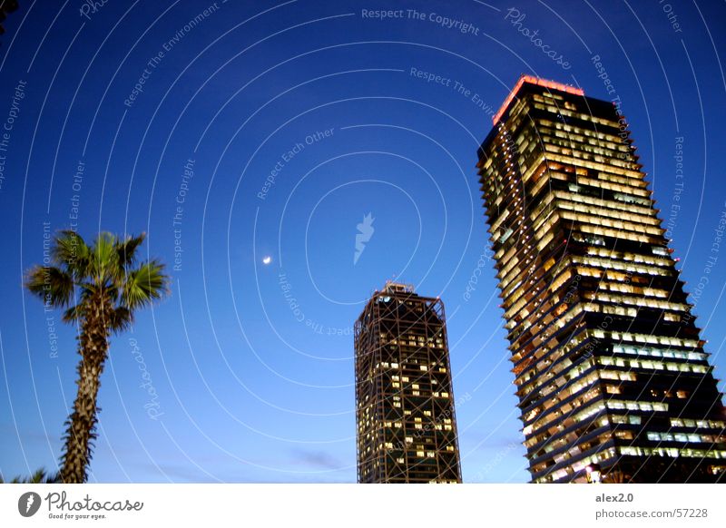 Palm Moon House Palm tree House (Residential Structure) High-rise Night Dark Barcelona Hotel Arts Mapfretower Blue glows illuminated