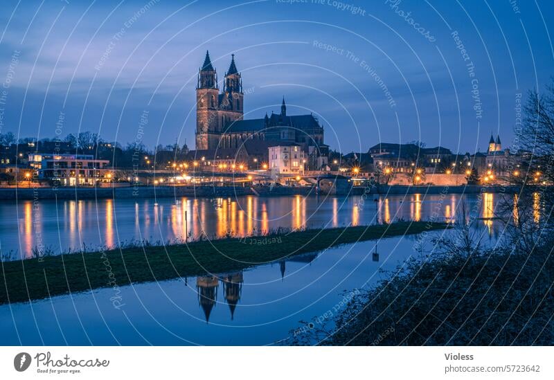 Magdeburg by night Elbe Night Twilight clearer Gothic cathedral Landmark Magdeburg Cathedral Blue reflection