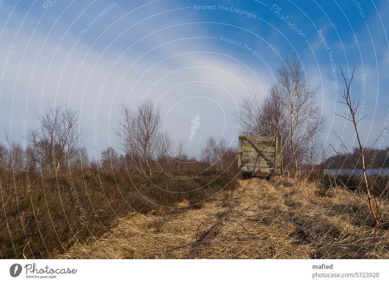 Old peat pile stands on overgrown rails in the moor Bog Peat peat cutting lorry train Nature Landscape Marsh Deserted renaturation Rewetting birches heather