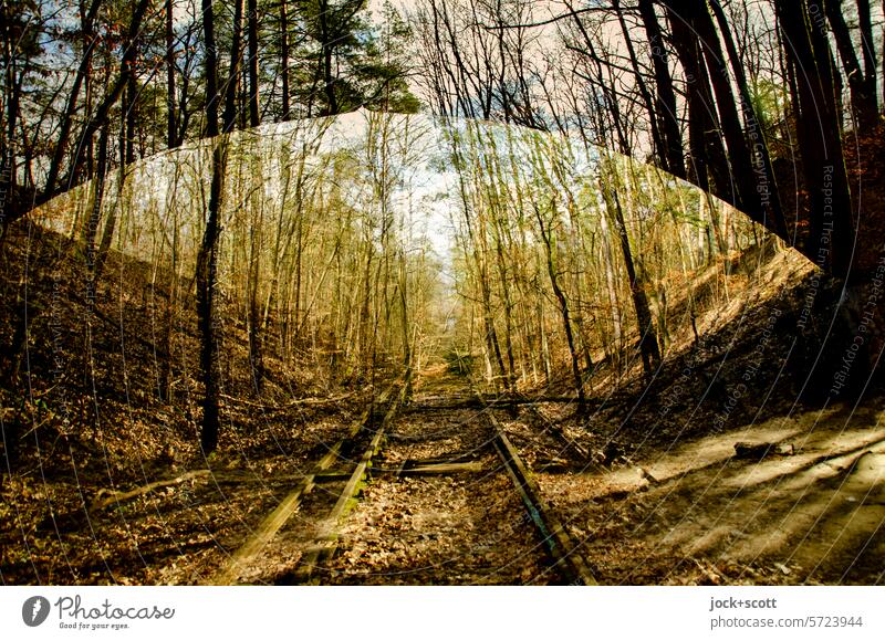 over the top and through the bottom Railroad tracks Bridge lost places Nature Transience Double exposure Reaction Silhouette Exceptional Illusion Experimental