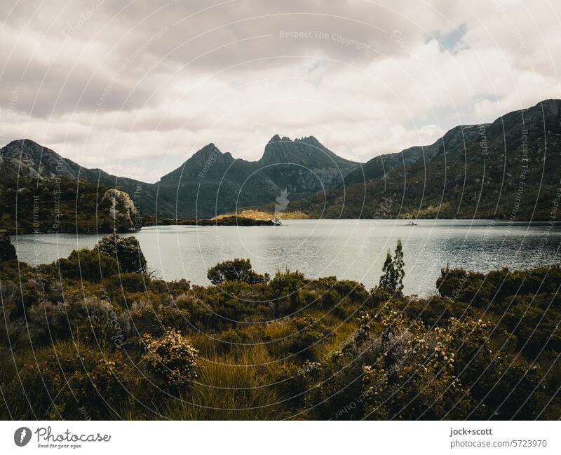 Cradle Mountain and Dove Lake Landscape Clouds Nature Shadow Silhouette Panorama (View) Authentic Neutral Background Mountain range Back-light Far-off places