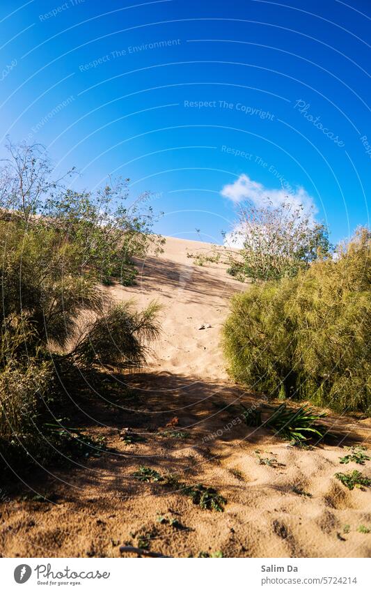 Beautiful scenery Scene scenic scenics scenic view sceneries Beautiful weather beautifully Sand Sandy beach sandy sandy beaches sand dune sand dunes Nature