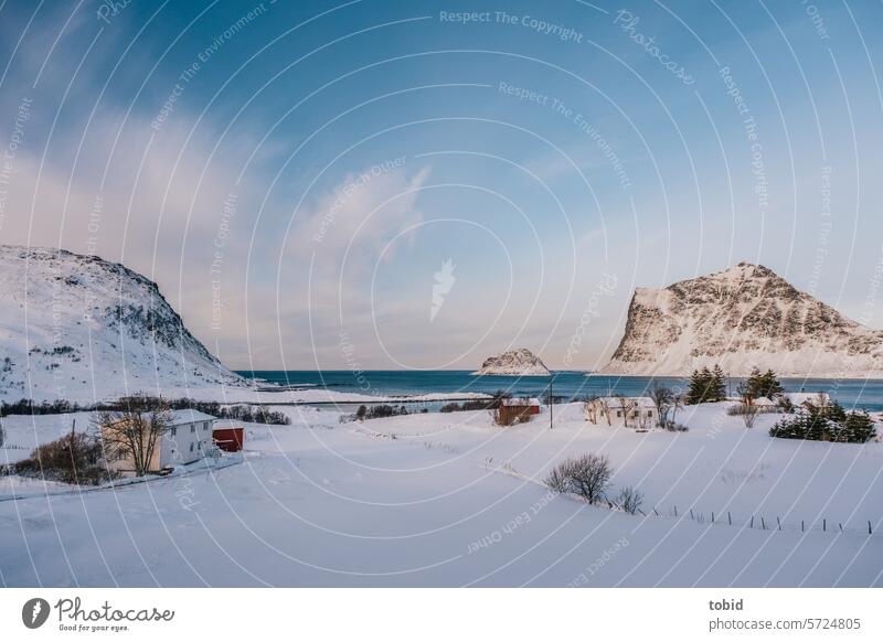 winter idyll Lofotes Lofoten Islands Winter Winter vacation Idyll Snow Winter mood Beautiful weather Mountain Horizon Nature Vacation & Travel Scandinavia