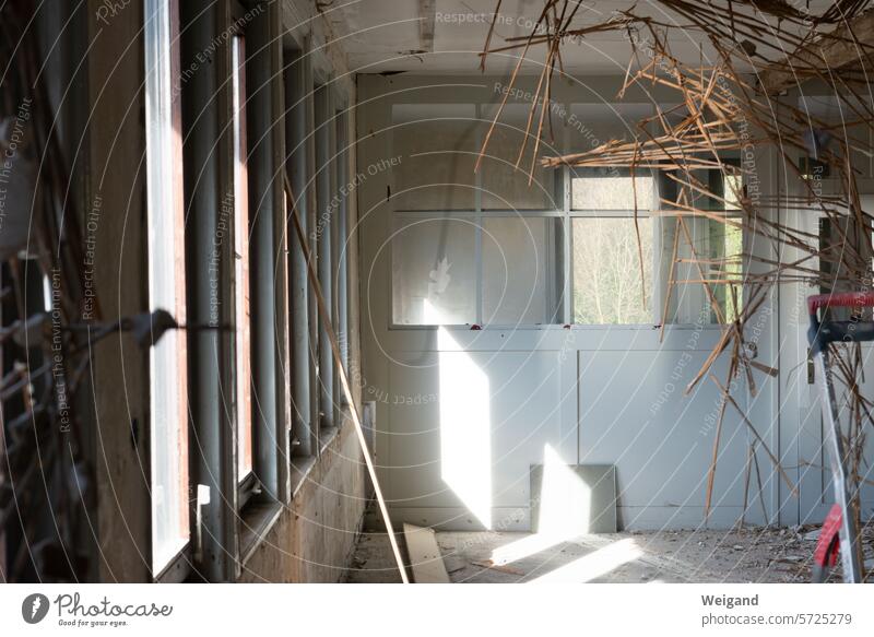 Sunlight falls through the windows of the construction site of a studio and from the ceiling the straw insulation stretches from top to bottom through the picture like an abstract work of art