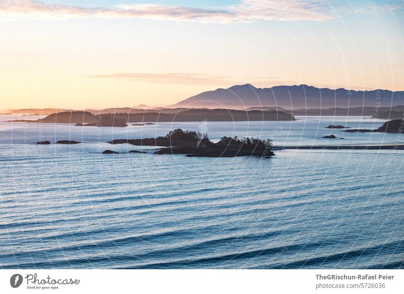 Bay with small islands in the background - evening mood Wild grow together cox bay Vancouver Island trees Tree Ocean White crest Waves Canada British Columbia