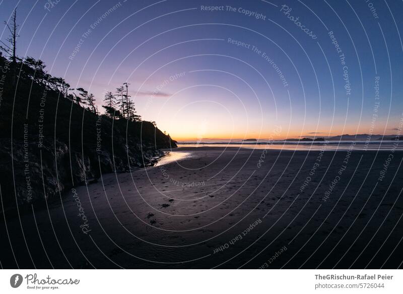 Evening mood on the beach with sand in the foreground and sea in the background Wild grow together cox bay Vancouver Island trees Tree Ocean White crest Waves