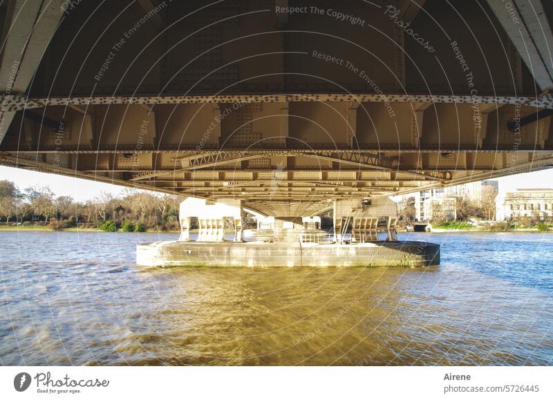 Albert his bridge Bridge Architecture Under Brown Bridge construction Metal Bridge building Symmetry Historic down through Central perspective piers Flat Wide