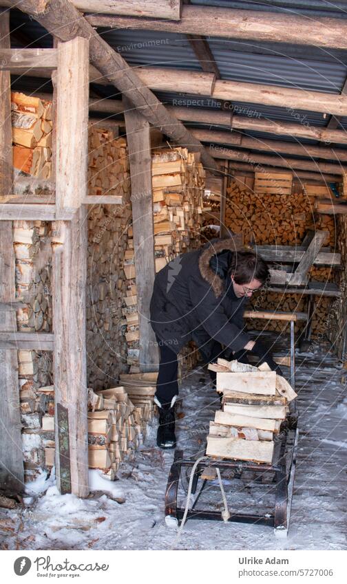 Lapland | Fetching firewood Arctic circle Adventure Man Sleigh Ice Swede Europe Solberget Snow Winter vacation Nature Exterior shot Cold Vacation & Travel