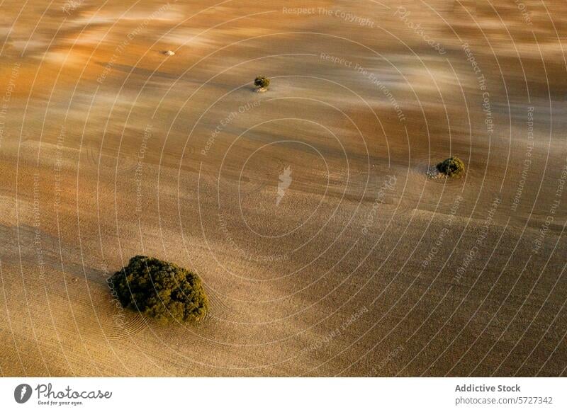 Desert Textures and Isolated Green Bushes desert texture bush green sand aerial shot contrast solitary rippling nature landscape arid wilderness isolated earth