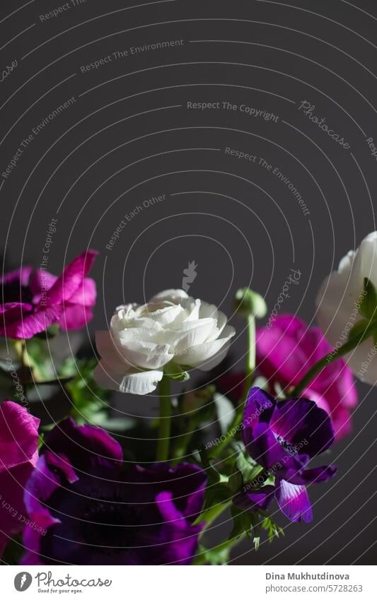 bouquet of pink and purple flowers closeup on gray background with sunlight. I can buy myself flowers. Happy Birthday or Anniversary. floral florist beautiful