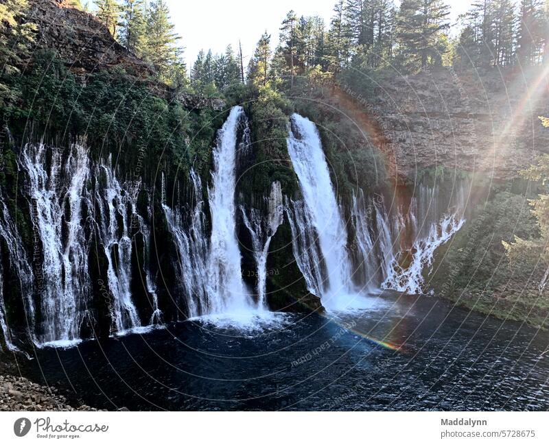 Burney- McCloud Waterfall, insane stunning locations in California Nature River Brook Drops of water Exterior shot nature Colour photo travel Rock Stone Day