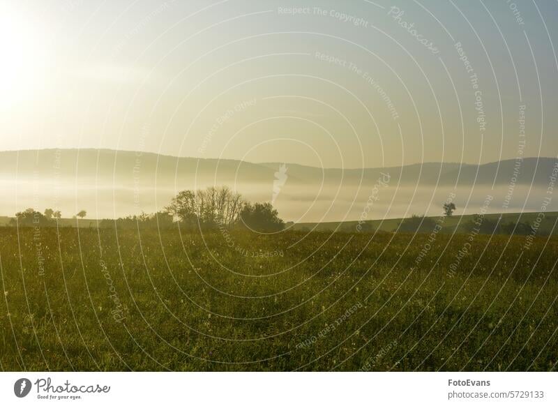 Early morning landscape with fog autumn copy space Landscape season nature Germany meadow autumnal background early idyllic foggy landscape early fog Bavaria