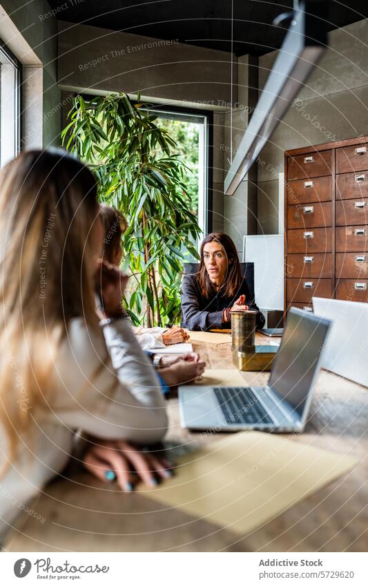 Women in a Business Meeting at Modern Office office business meeting women professional discussion contemporary modern indoor conversation corporate female