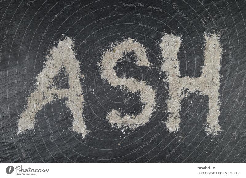 the English word ash from ash on a slate background Transience Past Word symbol Letters (alphabet) Text symbolic Symbols and metaphors Language Characters left