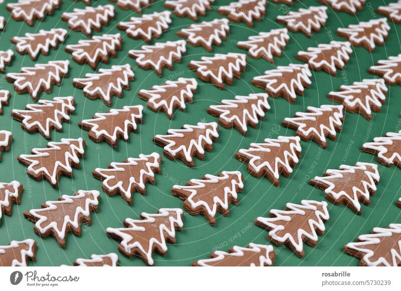 Christmas cookie - fir trees on green Fir tree firs Cookie Baking Christmas & Advent Christmas biscuit cut out cookies Christmas baking pre-Christmas period