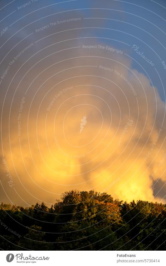 Big cloud in the evening light over green forest rain cloud natural storm big sky landscape abstract Weather Clouds ozone trees above storm clouds huge outdoors