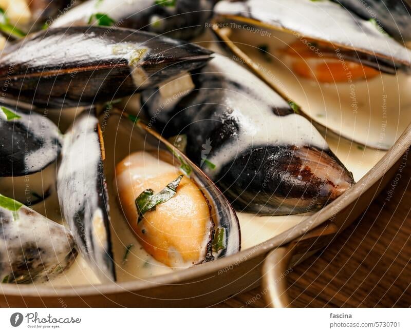 Creamy mussels on wooden background pan creamy seafood sauce dish restaurant cooked delicious meal cuisine gourmet tasty healthy dinner shellfish traditional