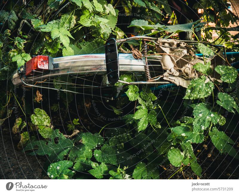 Pitch in the countryside Bicycle Overgrown Parking area Detail a long time Scrapping a bicycle Means of transport Forget Transience Scrap metal Authentic