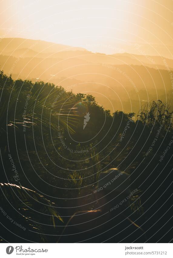 Mindfulness | bathing in the evening sun evening mood Sunset Landscape Sunlight Nature Mountain evening light Sky Panorama (View) Evening Silhouette Horizon