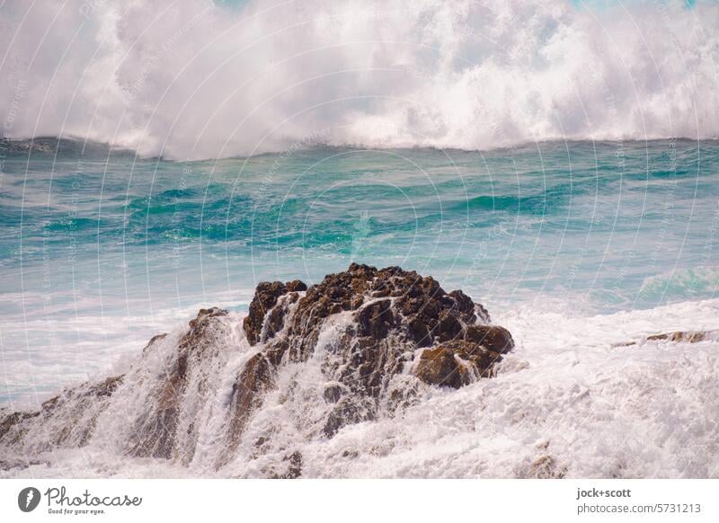 A rock in the surf Surf Waves Ocean Nature coast White crest Rock run off Swell Elements Pacific Ocean Australia Force Wave break Force of nature Kinetic energy