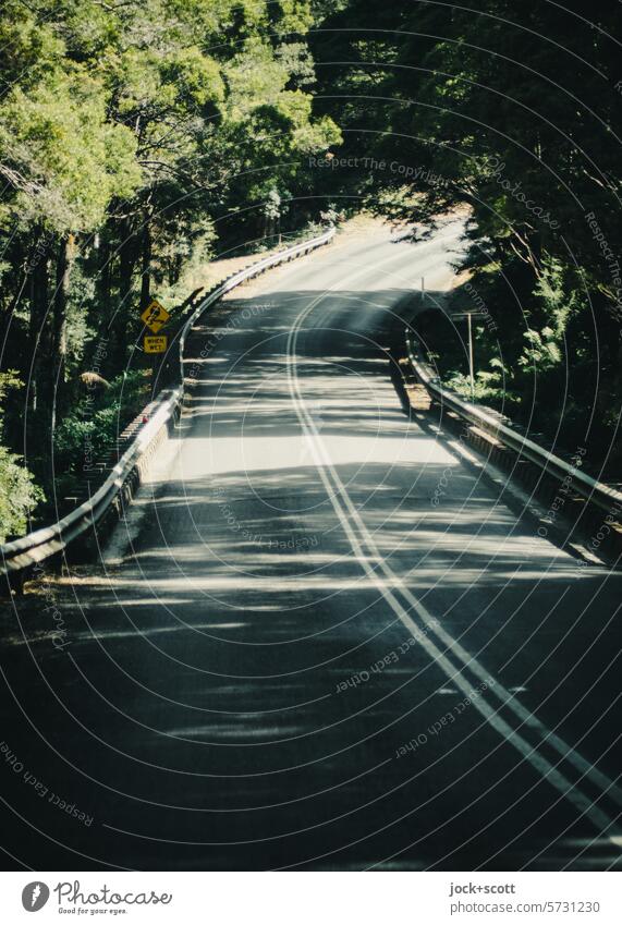 Road through the natural paradise at the end of the world Street Traffic infrastructure Forest Country road Traffic lane empty street forest road In transit