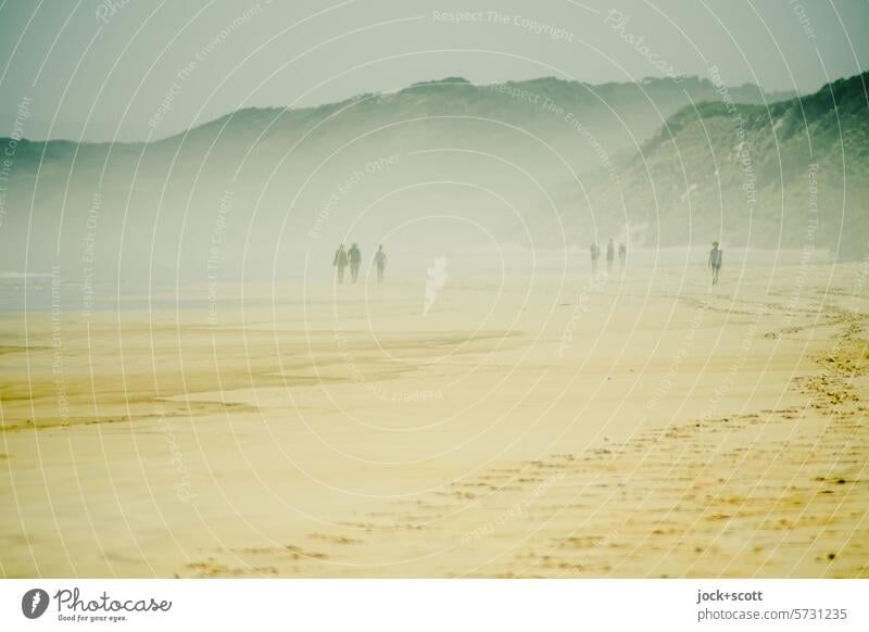 meeting at Ocean Beach Haze Landscape coast Vacation & Travel Silhouette Sand Relaxation Skid marks Lanes & trails Tracks strollers Hill Sky Nature wide