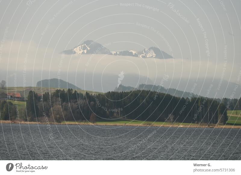 Mountains with lake in the morning mist mountains Landscape Nature Clouds Moody Alps Lake Water Vacation & Travel Tourism Deserted Relaxation Trip Idyll Calm