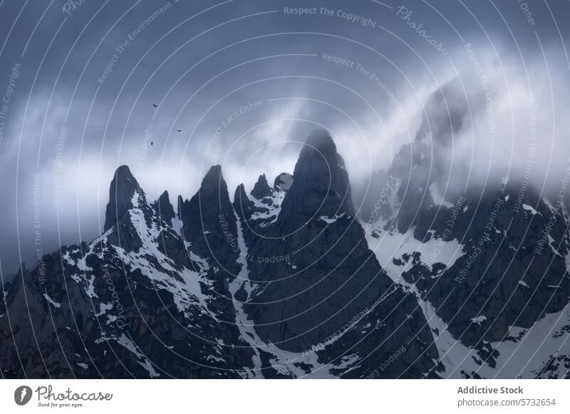 Misty Peaks of Picos de Europa National Park picos de europa national park mountain peak mist fog dramatic snow rocky terrain nature outdoor landscape travel