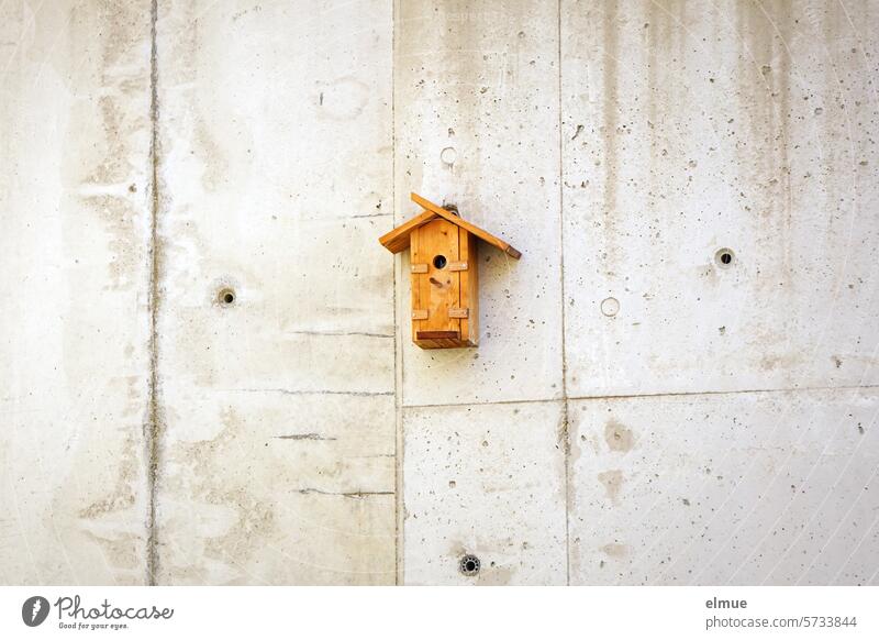 Wooden nesting box on a concrete wall Nesting box Spring Breeding aid Concrete wall Endangered species incubate spring bird protection Blog Ornithology Bird