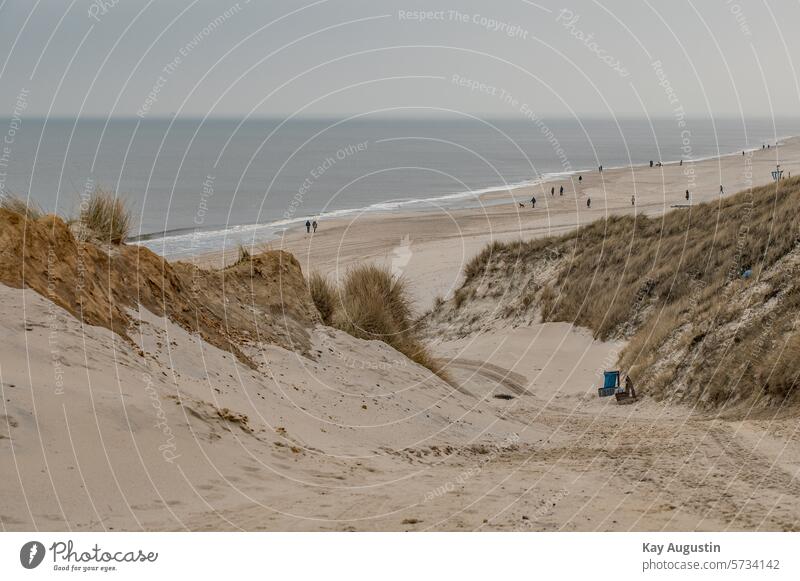 rest tranquillity North Sea Beach Sylt Vacation & Travel coast Nature Exterior shot Colour photo North Sea coast Landscape Relaxation Island Ocean