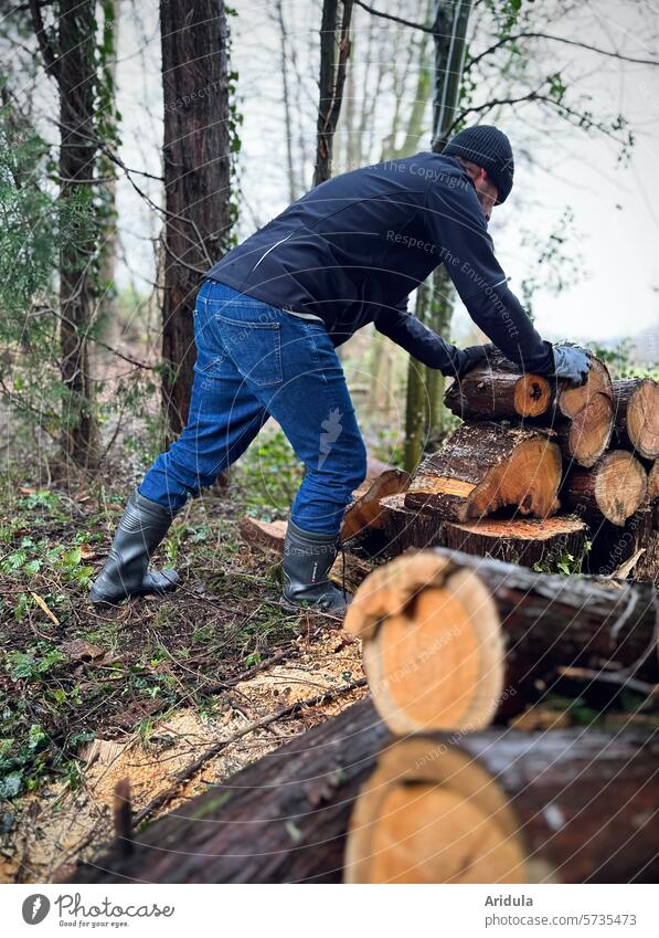 Man stacks wood in the garden Logging Tree Timber Stack Annual ring Tree section Cut Brown structure bark Tree bark stacked House (Residential Structure) Garden