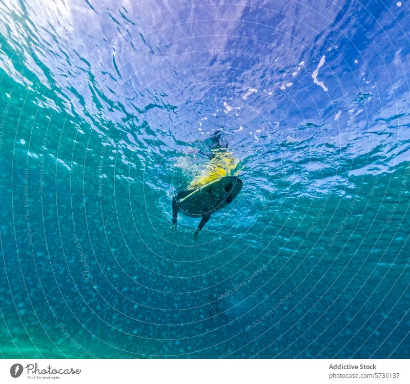 Underwater View of a Surfer in Fuerteventura underwater surfer fuerteventura paddling wave blue clear ocean sea surfboard adventure aquatic sports active