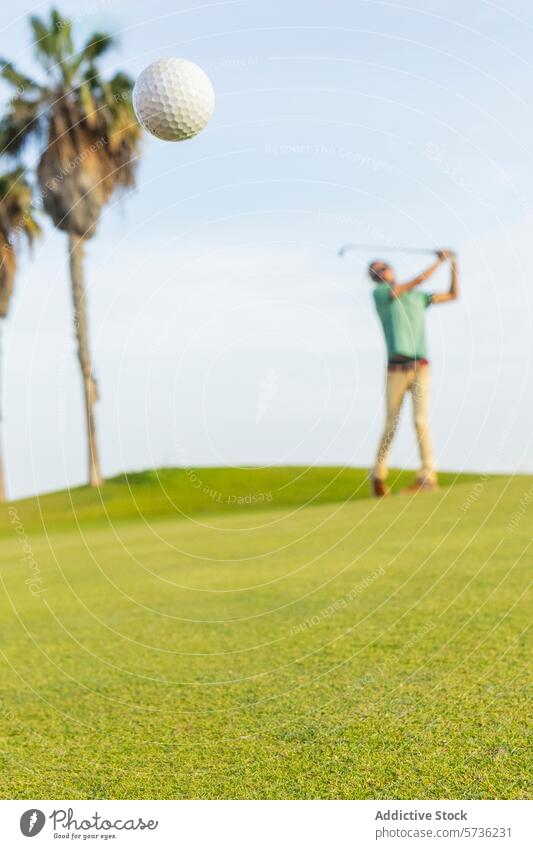 Golfer with Dreadlocks Swinging Club on Course golf golfer swing dreadlocks ball palm tree green grass golfer with dreadlocks unique leisure sport outdoor sunny