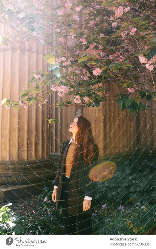 A woman enjoys a tranquil spring day, surrounded by blooming flowers and historic architecture in San Francisco tranquility serene sunlight outdoor beauty