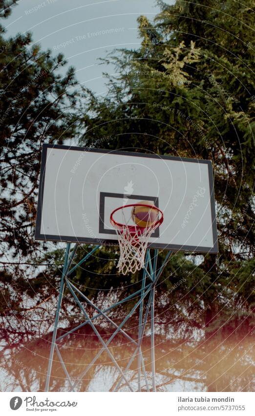 basket with ball entering outdoor basketball court with trees behind nature sport athletic leisure activity free time lifestyle kodak vintage 35 mm analog