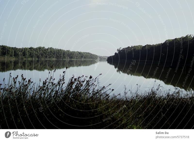 Lake lovely view Lakeside lakes lakeshore lake shore Lovely viewing View From Front View From Side view from the back viewpoint Photography Landscape photo