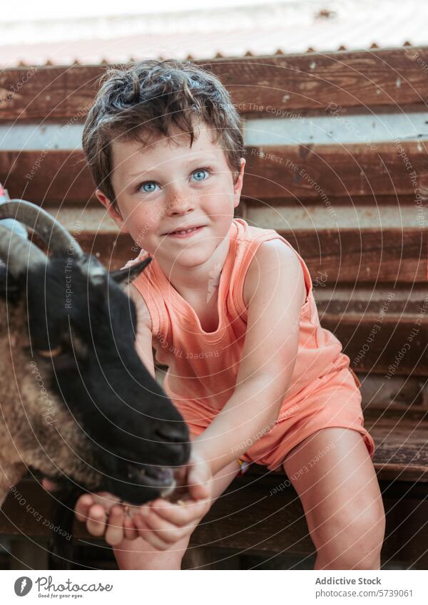 A bright-eyed boy smiles as he feeds a goat, enjoying a hands-on learning experience at a farm school in the warm summer season feeding animal child interaction