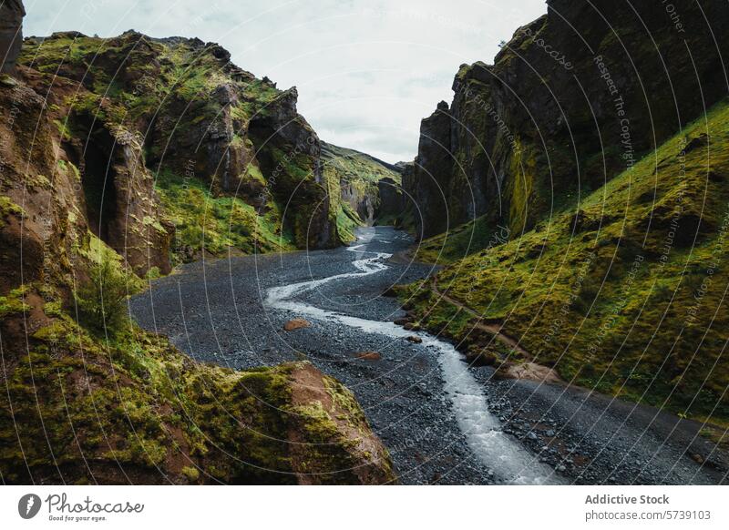 Serene river flowing through a majestic Icelandic canyon iceland landscape nature serene tranquil moss green rugged volcanic outdoors scenic beauty travel