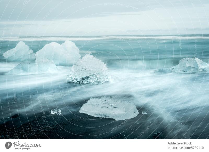 Icy beauty on the black sands of Iceland iceland iceberg beach volcanic wave mist seascape landscape nature arctic cold freeze winter shore ocean water chill