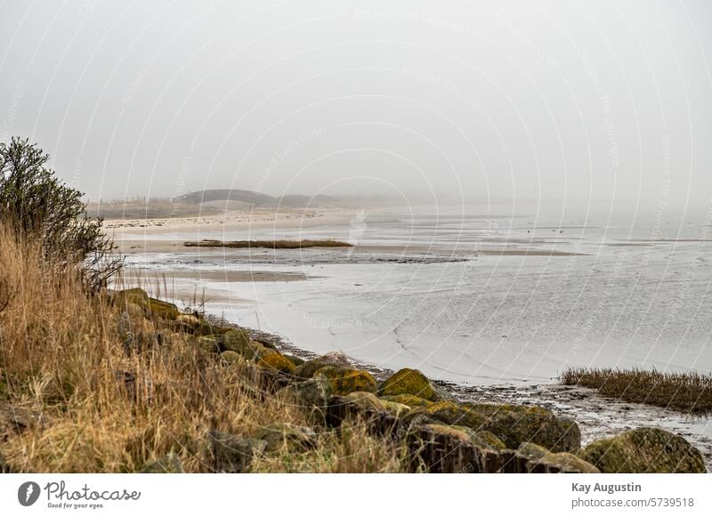 Shrouded in fog Bridge of Lies Fog Haze Weather Landscapes Sylt island North Sea North Sea coast Wadden Sea National Park Mud flats Wooden bridge Arched bridge