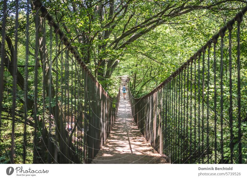 Suspension bridge in the forest Bridge Forest woodland Hiking Tourism Vacation & Travel Landscape Adventure Nature Fear of heights Travel photography trees Tree