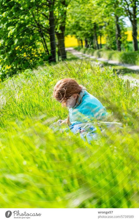 Drawing in nature Nature Field study Girl Sitting in the grass Talent development giftedness Creativity Colour Painting (action, artwork) Leisure and hobbies